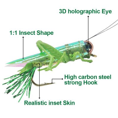 12 saltamontes mezclados en 3 colores