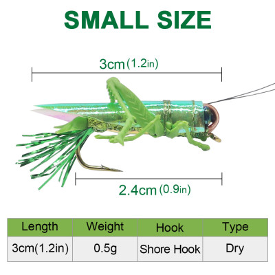 Doce pequeños saltamontes verdes acechan