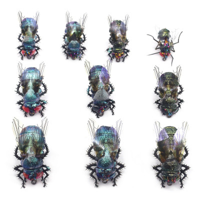 Realistic Flies Lure Kits