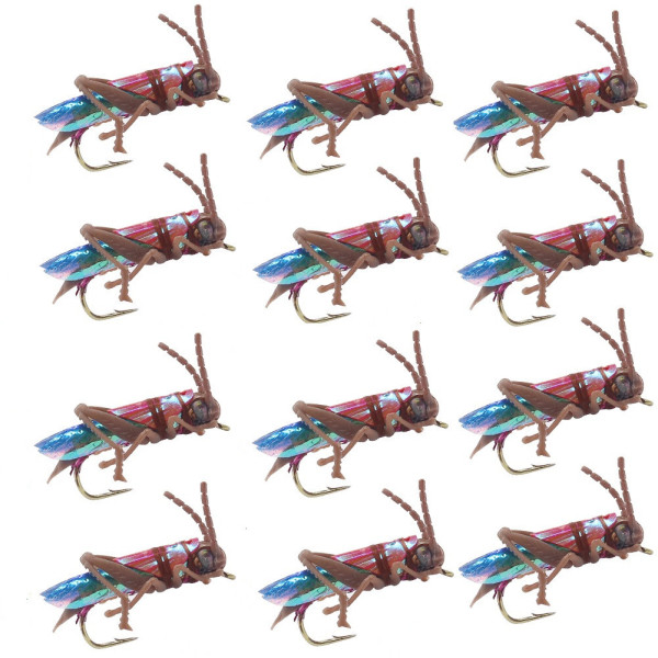 12 Brown Small Grasshoppers