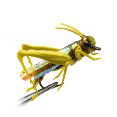 4 Gold Big Grasshoppers