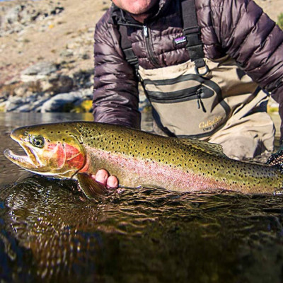 6 New Zealand Wet Flies