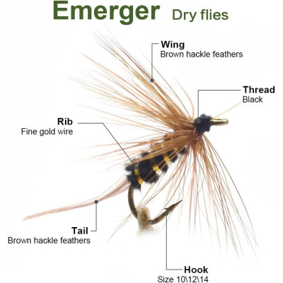 12 Mixed Square Emerger Caddis Fliegen