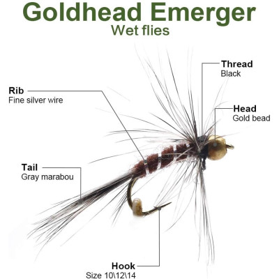 12 Mixed Square Emerger Caddis Fliegen