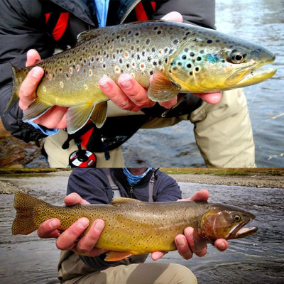 12 Hybrid carré streamer Nymph emerger fly