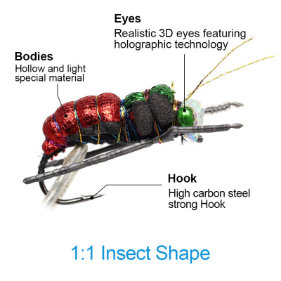 12 Mixed Flies-Beetle  Butteryfly Larvae