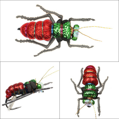 12 larvas de mantequilla de escarabajo de mosca mixta